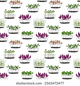 Micro green sprouts seamless pattern. Hand drawn home growing salad leaves in transparent container, vector illustration on white background. Decorative for wrapping and packaging, organic plants