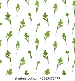 Micro green sprouts seamless pattern. Hand drawn cilantro leaves in doodle style, vector illustration on white background. Decorative for wrapping and packaging, organic plants