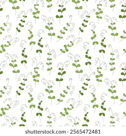 Micro green sprouts seamless pattern. Hand drawn pea shoots in doodle style, vector illustration on white background. Decorative for wrapping and packaging, organic plants