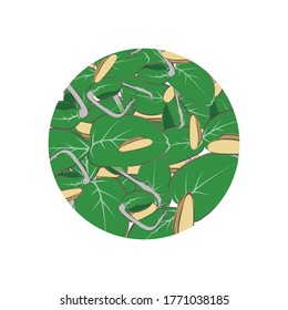 
Micro greens. Close-up. The object is encircled in a circular shape. Design element. Multicolored image on a white background. Vector illustration.
