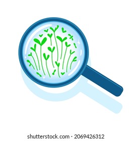 Ilustración conceptual de micro verdes. Ver brotes a través del amplificador. Vector aislado en blanco.