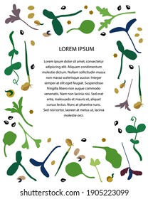 Microverdes. Volante. Ilustración vectorial del estilo dibujado a mano. Plantilla para el texto. Ensalada, rábano, remolacha, zanahoria, guisantes, girasoles, cebollas, albahaca.  Suplemento vitamínico, comida vegana.