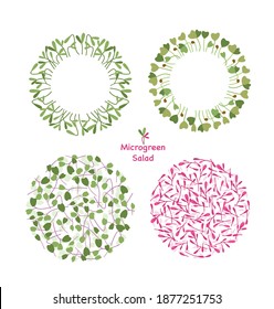 Micro greens food circle vector illustration. Cartoon eco logo decoration elements collection with mustard sunflower arugula orach herb leaf, green superfood in circle graphic design isolated on white
