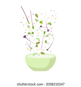 Micro greens sprouts and seeds fall into bowl on white background. Proper nutrition, diet, healthy foods. Arugula, basil , beet, sunflower, peas. Salad preparation Cartoon flat vector illustration.