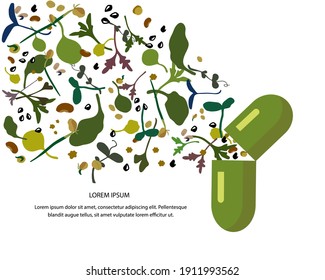Microverdes.  Ilustración vectorial del estilo dibujado a mano. Plantilla para el texto. Ensalada, rábano, remolacha, zanahoria, guisantes, girasoles, cebollas, albahaca. Suplemento vitamínico, comida vegana.
