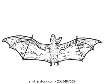 Microbat. Sketch scratch board imitation. Black and white.