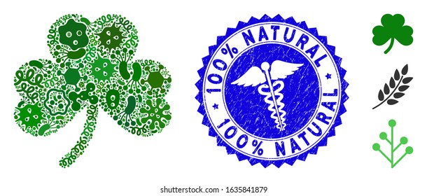 Microbe mosaic clover leaf icon and round grunge stamp watermark with 100% Natural phrase and healthcare icon. Mosaic vector is composed with clover leaf icon and with random contagion symbols.