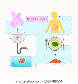 Microbead travel infographic. Microbead in cosmetic product can enter the food chain and harm human health. Vector illustration outline flat design style.