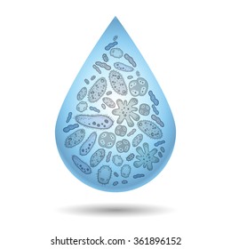 Microbes, bacteria and virus in drop of dirty water, infection illustration. Vector