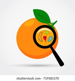 Microbes under magnification on the orange.