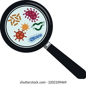 Microbes under magnifying glass. Biology research color icon