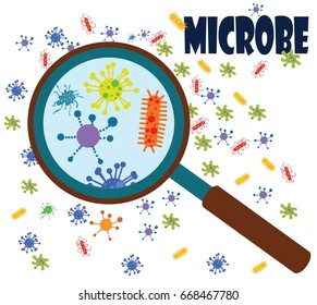 microbes under a magnifying glass , vector illustration , white background