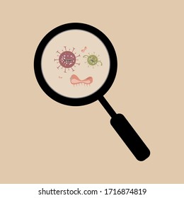 Microbial Search Icon, Pandemic Cure, Viruses, Bacteria, Bacteria Search and Destruction Vector Illustrations
