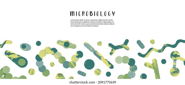 Microbiology, bacteriology. Bacteria, microorganism. Vector flat cartoon science illustartion, banner design