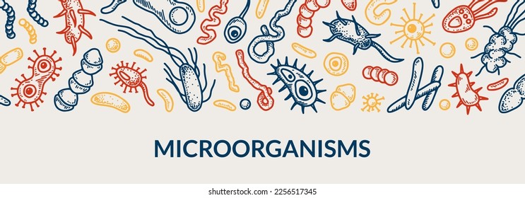 Microbiology banner. Collection of different types of microorganisms. Scientific vector illustration in sketch style