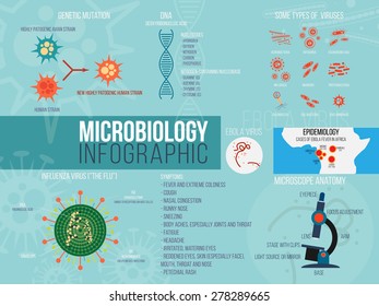 Microbiology infographic. Set with different shapes of virus. Flat design elements. 