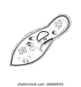 Microbiology Infusoria icon