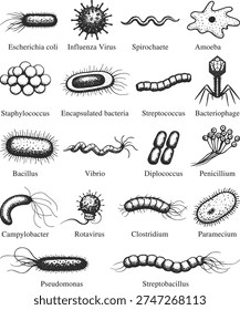 Microbiology Microorganisms Vector Illustration Set