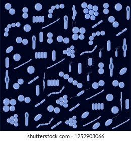 Microbiology set of different bacterial shapes. Violet coccus, bacillus, curved bacteria. Flat vector. Dark blue background.