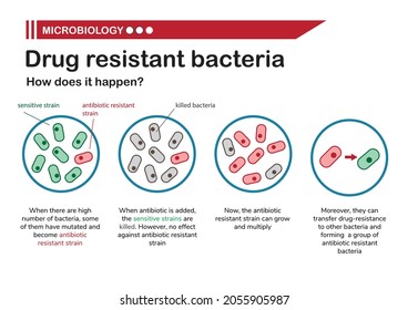 Microbiology shows diagram of drug resistant bacteria 