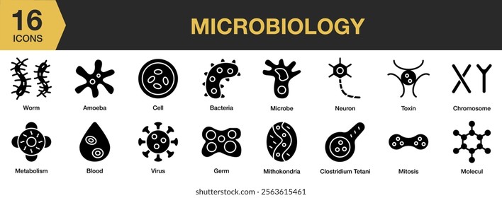 Microbiology solid icon set. Includes biology, microbiology, science, laboratory, research, and More. Solid icons vector collection.
