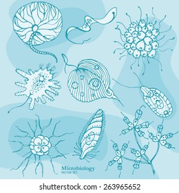 Microbiology Vector Set