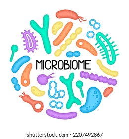 Microbiome illustration of bacteria. Vector image. Gastroenterologist. Bifidobacteria, lactobacilli. Lactic acid bacteria. Illustration in a flat 