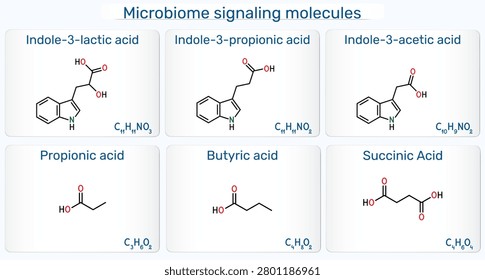Microbiome signaling molecules. Indole-3-lactic, indole-3-propionic, indole-3-acetic, propionic, butyric, succinic acids. Gut microbiota metabolites infographic