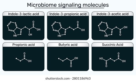 Microbiome signaling molecules. Indole-3-lactic, indole-3-propionic, indole-3-acetic, propionic, butyric, succinic acids. Gut microbiota metabolites infographic