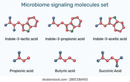 Microbiome signaling molecules. Indole-3-lactic, indole-3-propionic, indole-3-acetic, propionic, butyric, succinic acids. Gut microbiota metabolites infographic