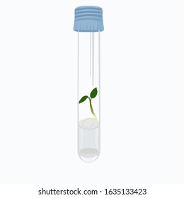 Microclonal reproduction of plants. In vitro propagation method for production of plants. Biotechnology. Plants in test tubes in realistic style. Biotechnology. Vector illustration on white background