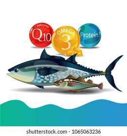 Microelements in fish. Coenzyme, omega, proteins. The basis of a healthy diet. Seafood