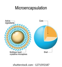 Microencapsulation mechanism. tiny particles (droplets) of Active ingredients are surrounded by a coating shell (multilayer liquid crystalline microsphere). Microencapsulation technology used on skin