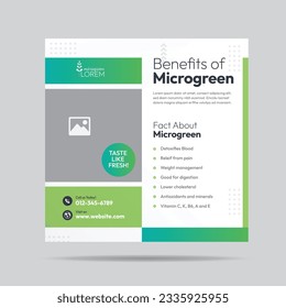 Microgreen Benefit Social Media Post Design and Microgreen plantation company banner Template 
