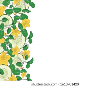 Microgreen. Edible flowers, sprouts and slices of cucumber. Texture. Color image. There is a place for text. Design element. Vector illustration.