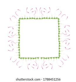 Microgreen frame for your design. Vector illustration isolated on a white background