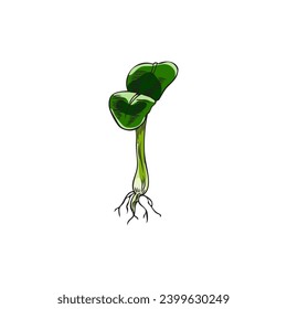 Microgreen, green sprout sunflower, vector illustration isolated on white background. Detailed hand drawn herbs with leaves and roots, vintage plants in engraving style. Drawn in colored sketch style.
