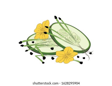 Microgreen. Healthy eating Close-up. Design element. A multi-colored image of flowers, slices of cucumber and onion sprouts. Vector illustration.