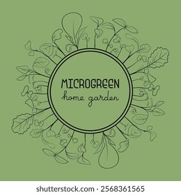 Microgreen leaves and sprouts border in circle frame in sketch style with text in center. Vector line art botanical frame illustration on white background. 
