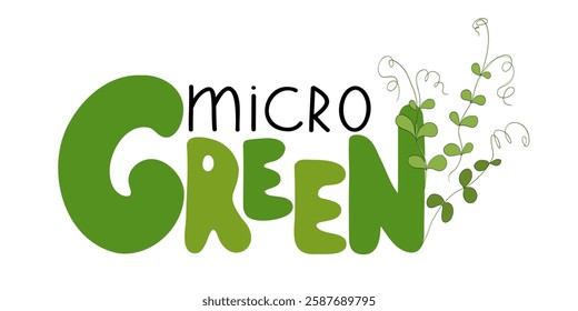 Microgreen lettering, logo, illustration objects. Handwritting with fresh baby greens art. Hand drawing banner design. Vegan product. Healthy eating. Pea sprouts.