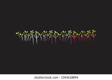 Microgreen logo for your design. Hand drawn illustration