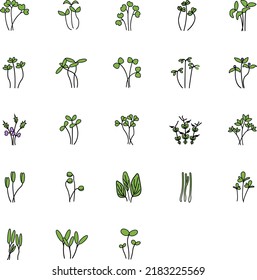 Microgreen outline color icons for web