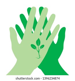Microgreen plant on the background of folded palms