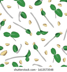 Microgreen. Seamless pattern. Color image of cucumber sprouts. Design element. Vector illustration.
