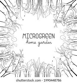 Microgreen sketch vector illustration. Grass circle frame for text. Green for home gardening. Mustard, corn, peas, onion, sunflower plant for salad