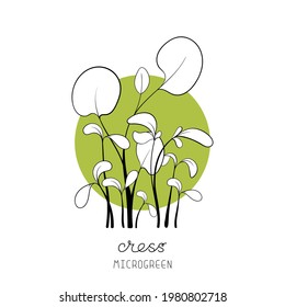 Microgreen sketch vector illustration. Green for home gardening. Cress salad plant on circle background