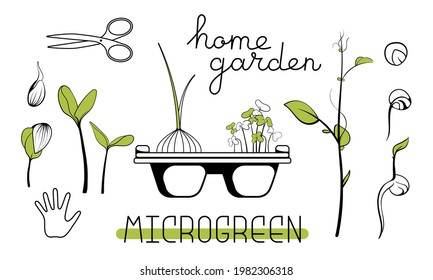 Microgreen sketch vector illustration. Green for home gardening. Mustard, peas, onion, sunflower plant for salad. Reuse and rot concept. Growth sprout in  eggs container. Zero waste lifestyle.