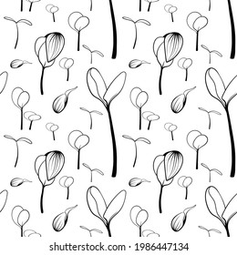 Mikrogrüne Skizze, Vektorgrafik. Grün für die häusliche Gartenarbeit. Nahtloses Muster mit Sonnenblumensprossen, Hintergrund
