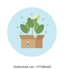 
Microgreen sprout delivery. Germinated seeds in a box. Flat design. Close-up. Multicolored image on a white background. Vector illustration.