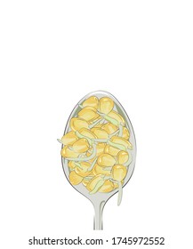 
Microgreen. Sprouted seeds in a spoon. Close-up. Color image on a white background. There is a place for text. Vector illustration.